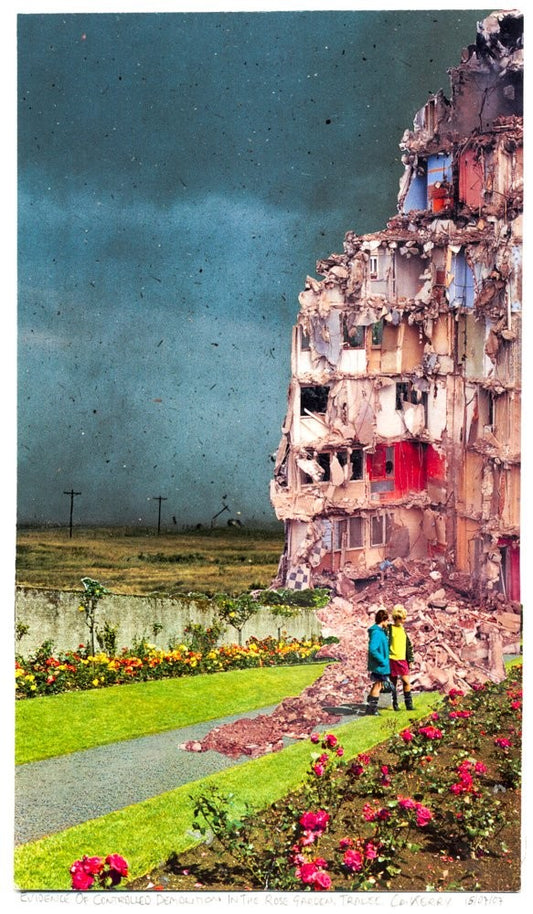 Searching for Evidence (of Controlled Demolition) in the Rose Garden, Tralee